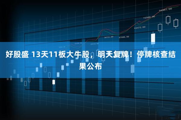 好股盛 13天11板大牛股，明天复牌！停牌核查结果公布