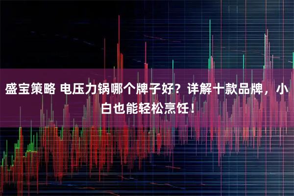 盛宝策略 电压力锅哪个牌子好？详解十款品牌，小白也能轻松烹饪！